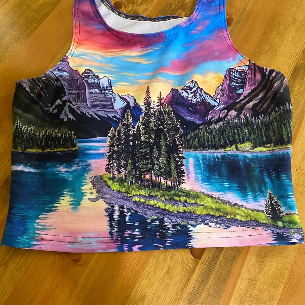 Rachel Pohl crop top
